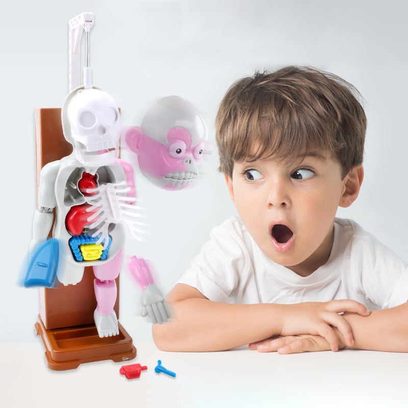 ☠️Mannequin Eject Educational Toy 🎁Halloween Gift