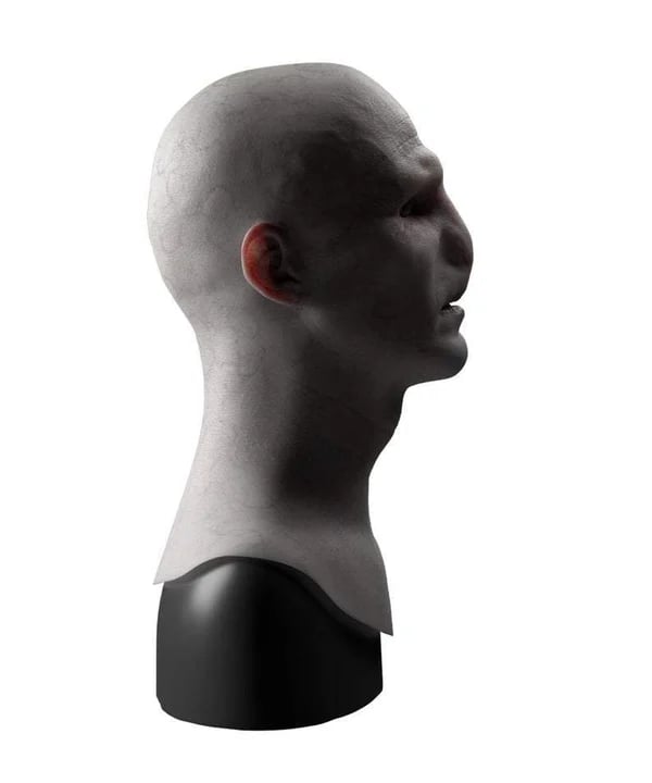 Halloween Mask
